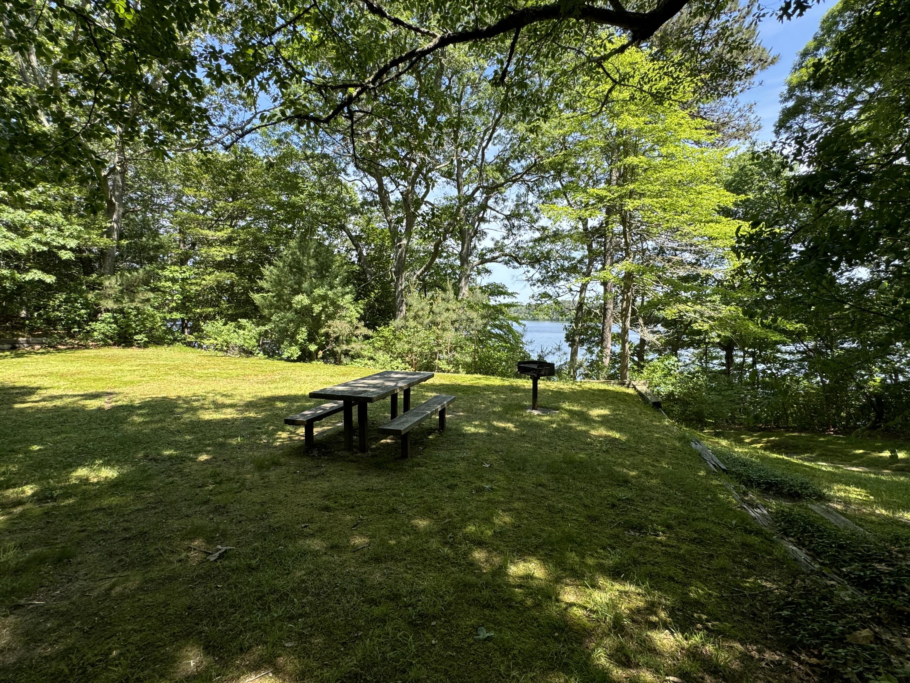 292 Jones Road Marstons Mills, MA 02648 - Photo 35 of 38 a view of yard with green space