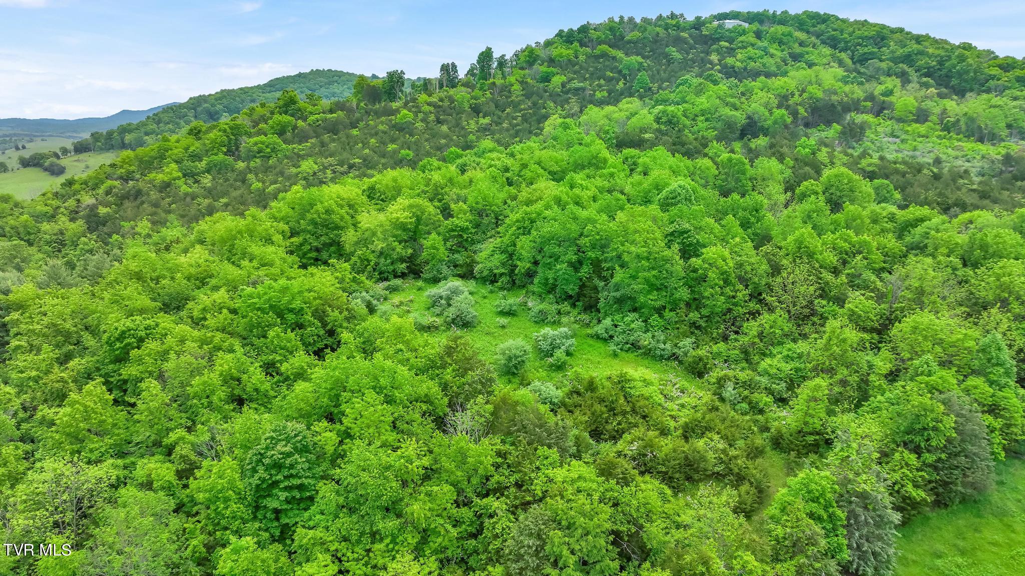 0 Cleveland Road Lebanon, VA 24266 - Photo 13 of 15 DJI_0690