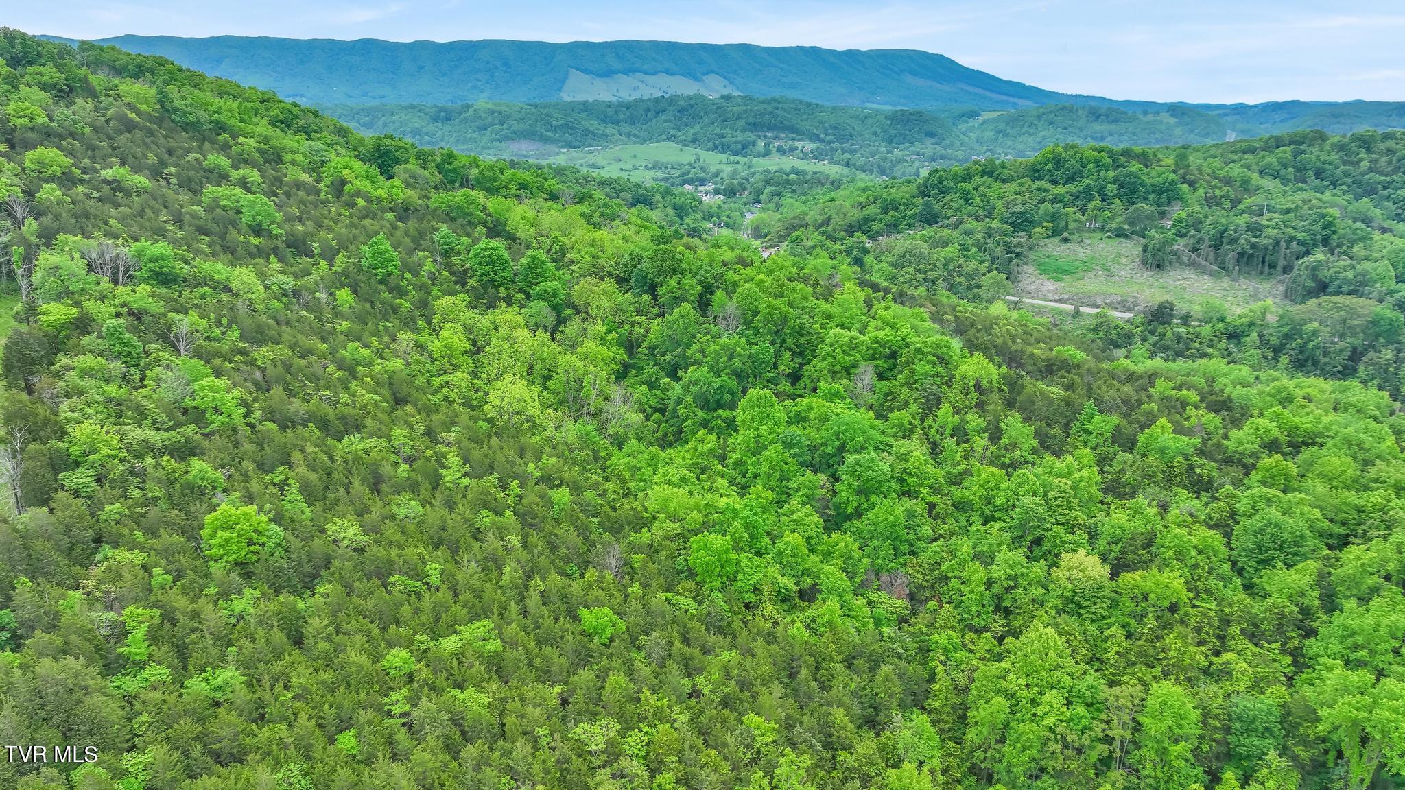 0 Cleveland Road Lebanon, VA 24266 - Photo 15 of 15 DJI_0695
