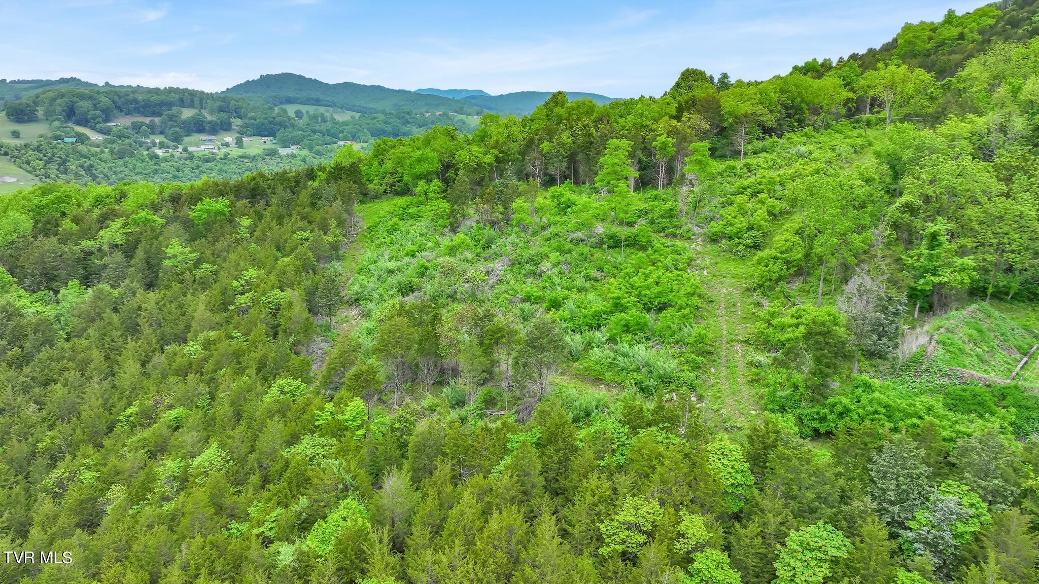 0 Cleveland Road Lebanon, VA 24266 - Photo 9 of 15 DJI_0677