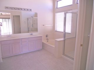 3931 East Agave Road Phoenix, AZ 85044 - Photo 8 of 13 Master Bathroom