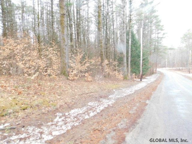 Wemple Road Johnstown, NY 12095 - Photo 9 of 9 Photo 9