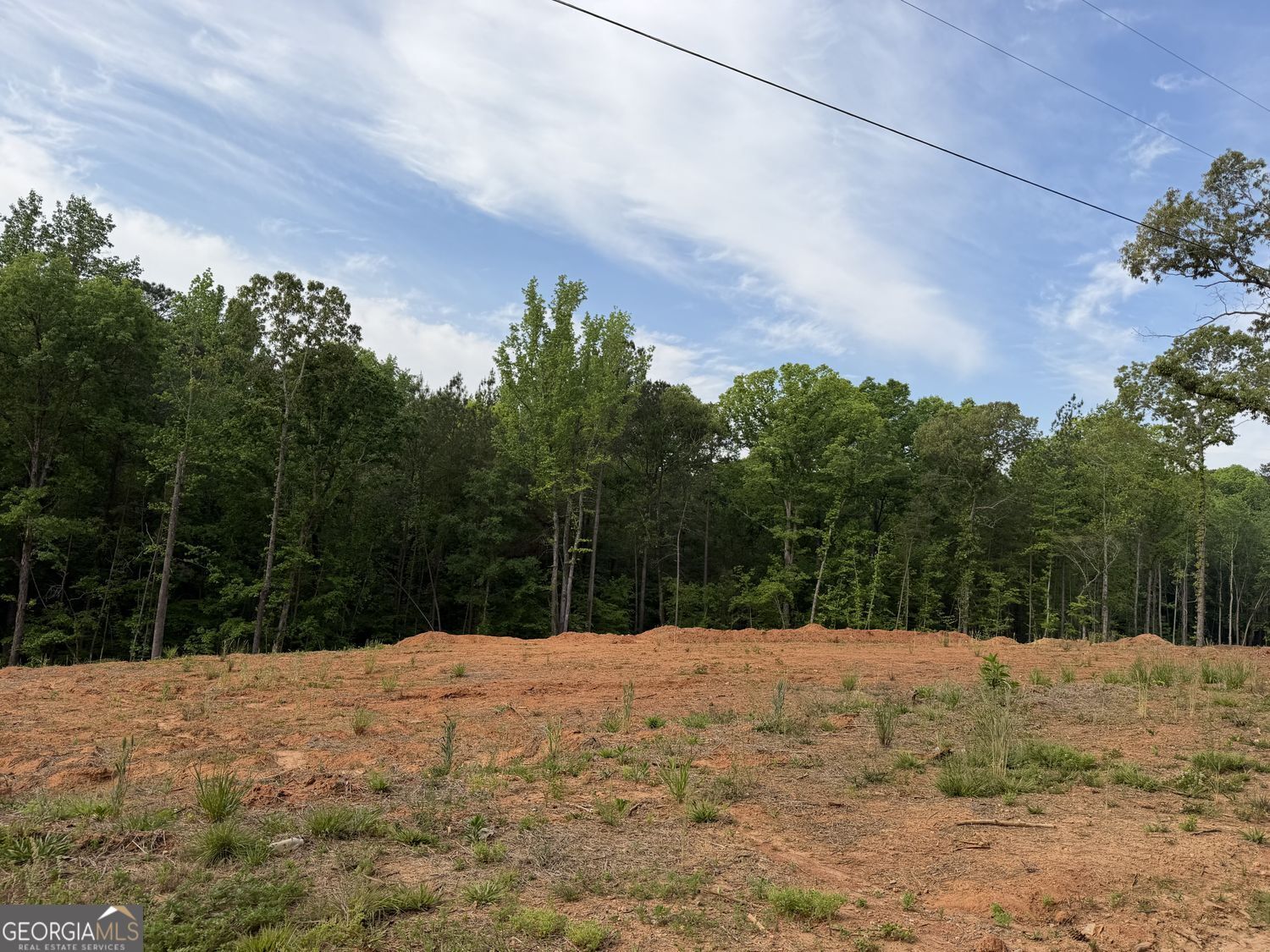 1492 English Road Forsyth, GA 31029 - Photo 4 of 4