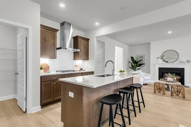 $419,000 | 155 Casein Street, Summerville, SC 29483