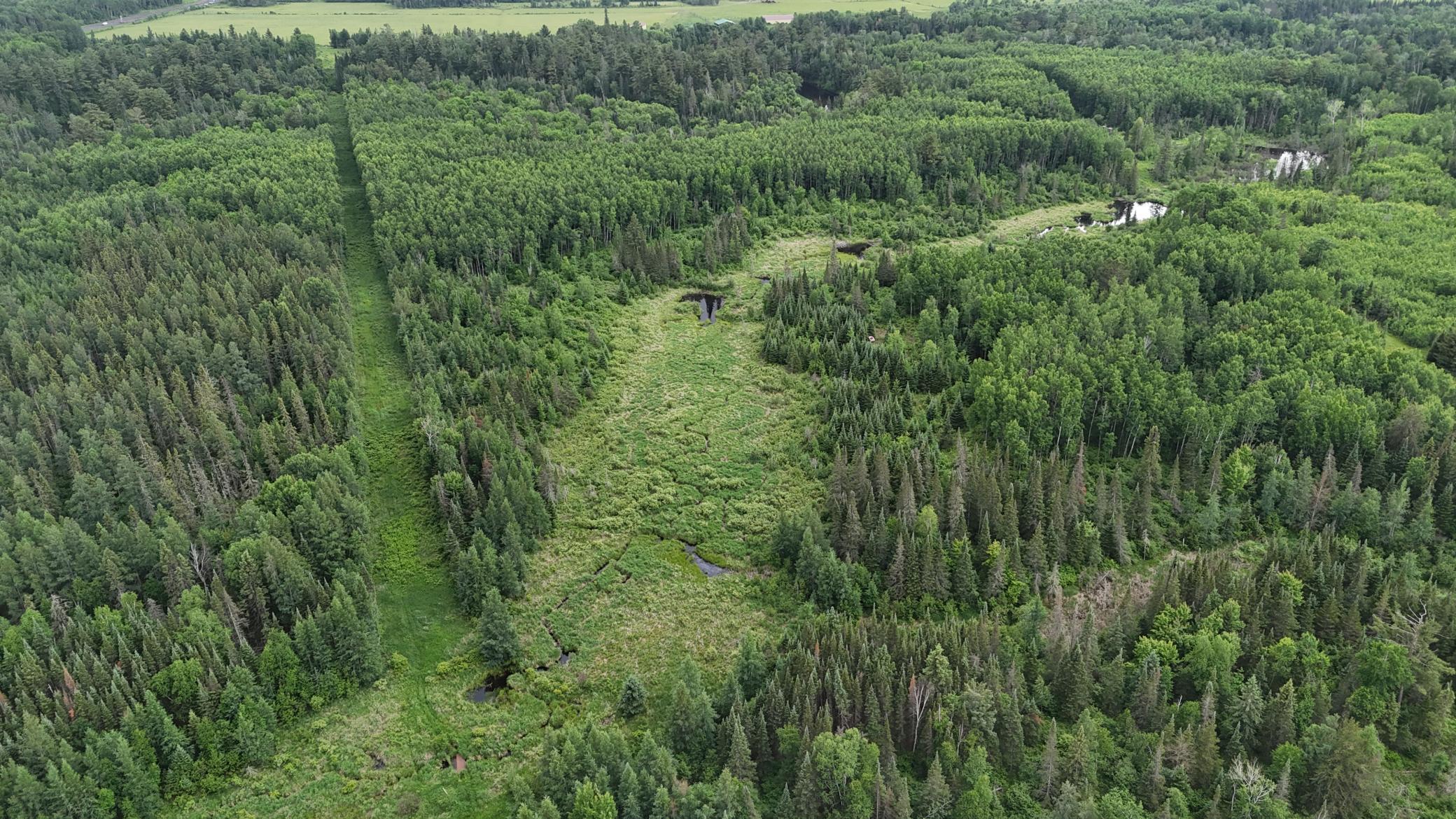 Tbd Quaal Road Forbes, MN 55738 - Photo 6 of 23