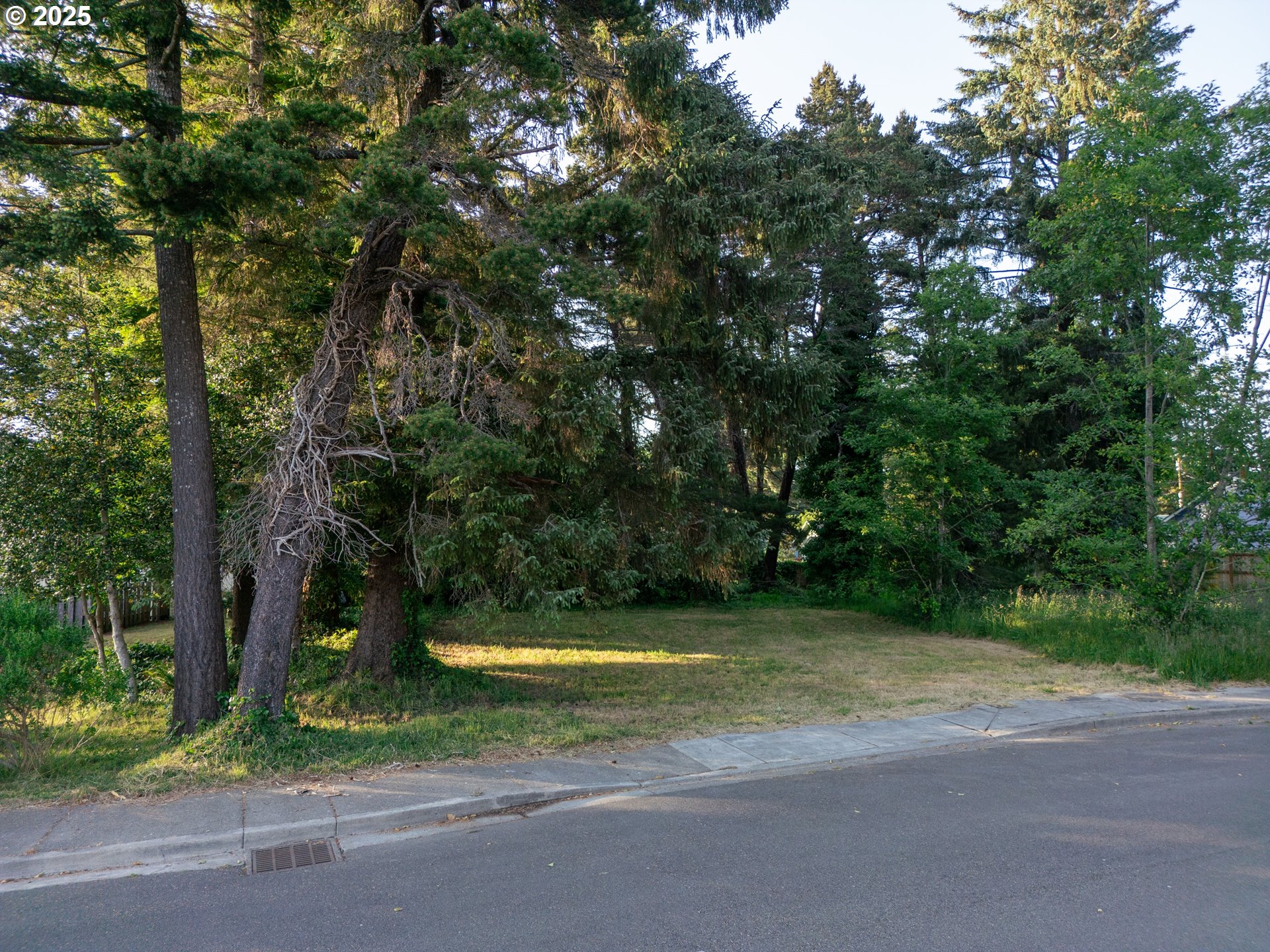 0 1st Street Southeast Bandon, OR 97411 - Photo 2 of 7