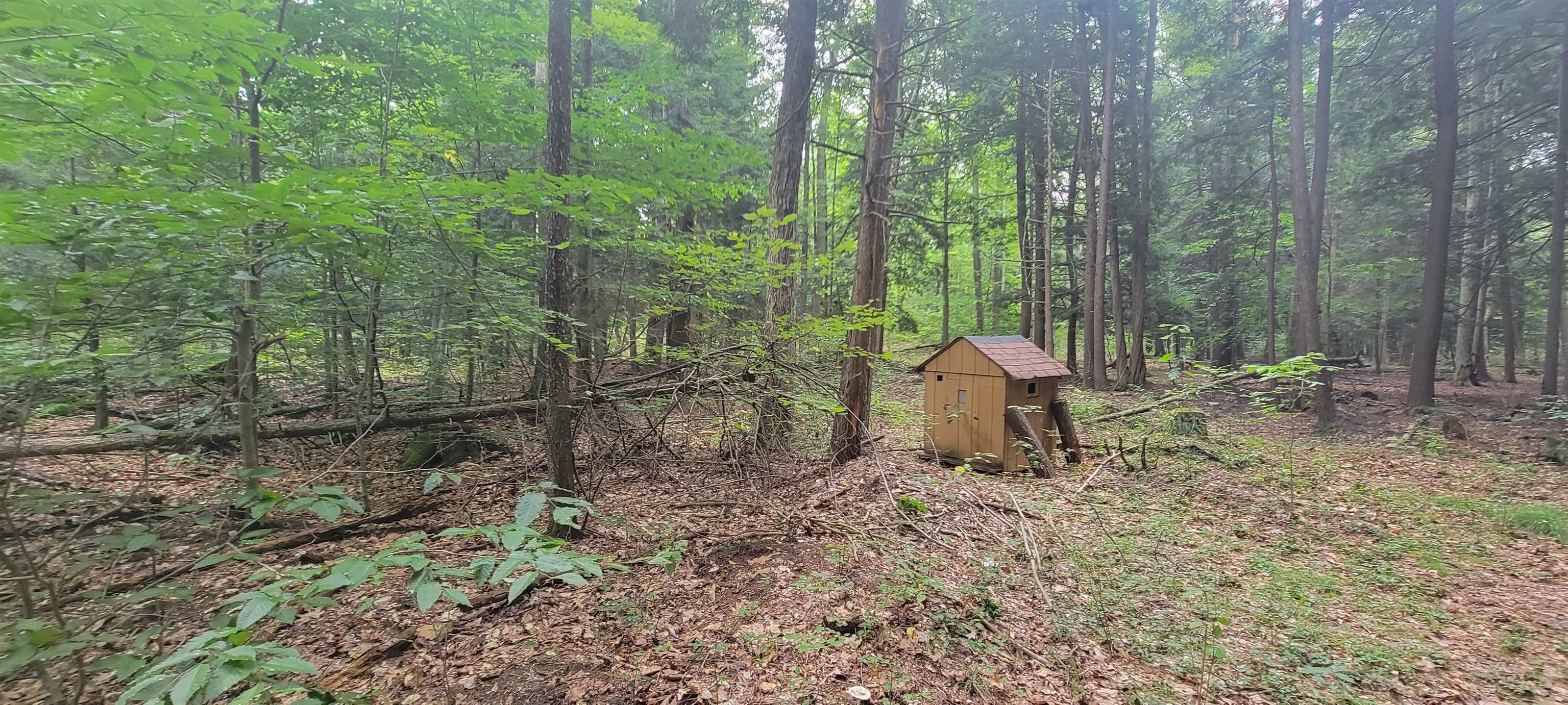 1708 Orr Road Caro, MI 48723 - Photo 30 of 37 Gallery Image 30