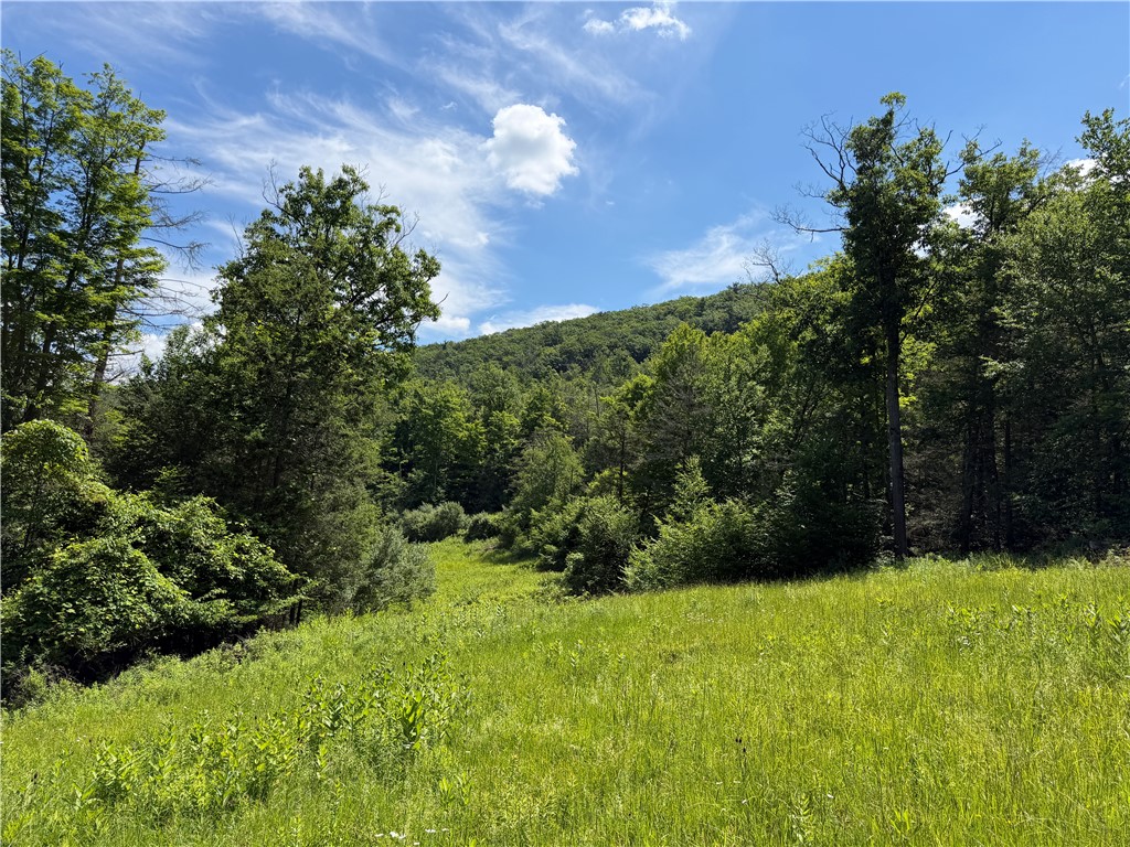 Vl Catatunk Road, Unit R Canisteo, NY 14823 - Photo 19 of 50