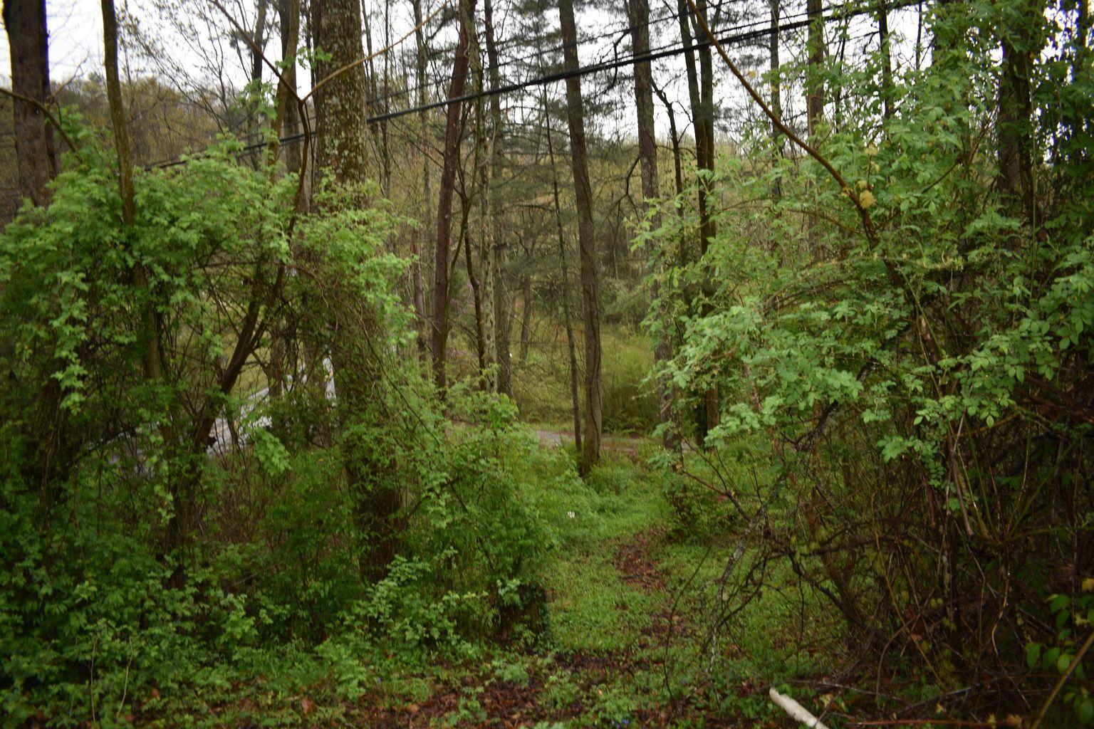 0 Buffalo Branch Road Annville, KY 40402 - Photo 1 of 5 20210415182639025319000000-o