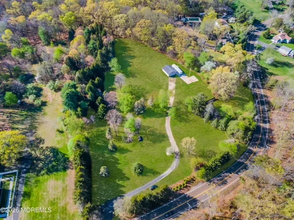 a view of a garden