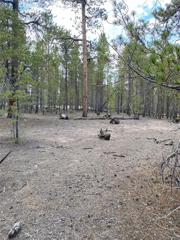 a backyard of a house with trees and houses