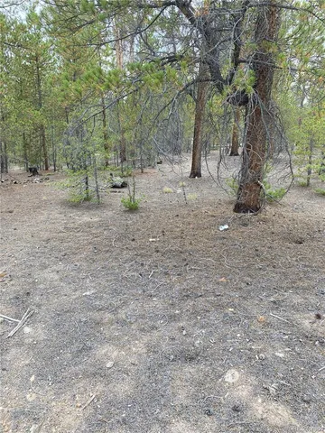 a view of a forest with trees