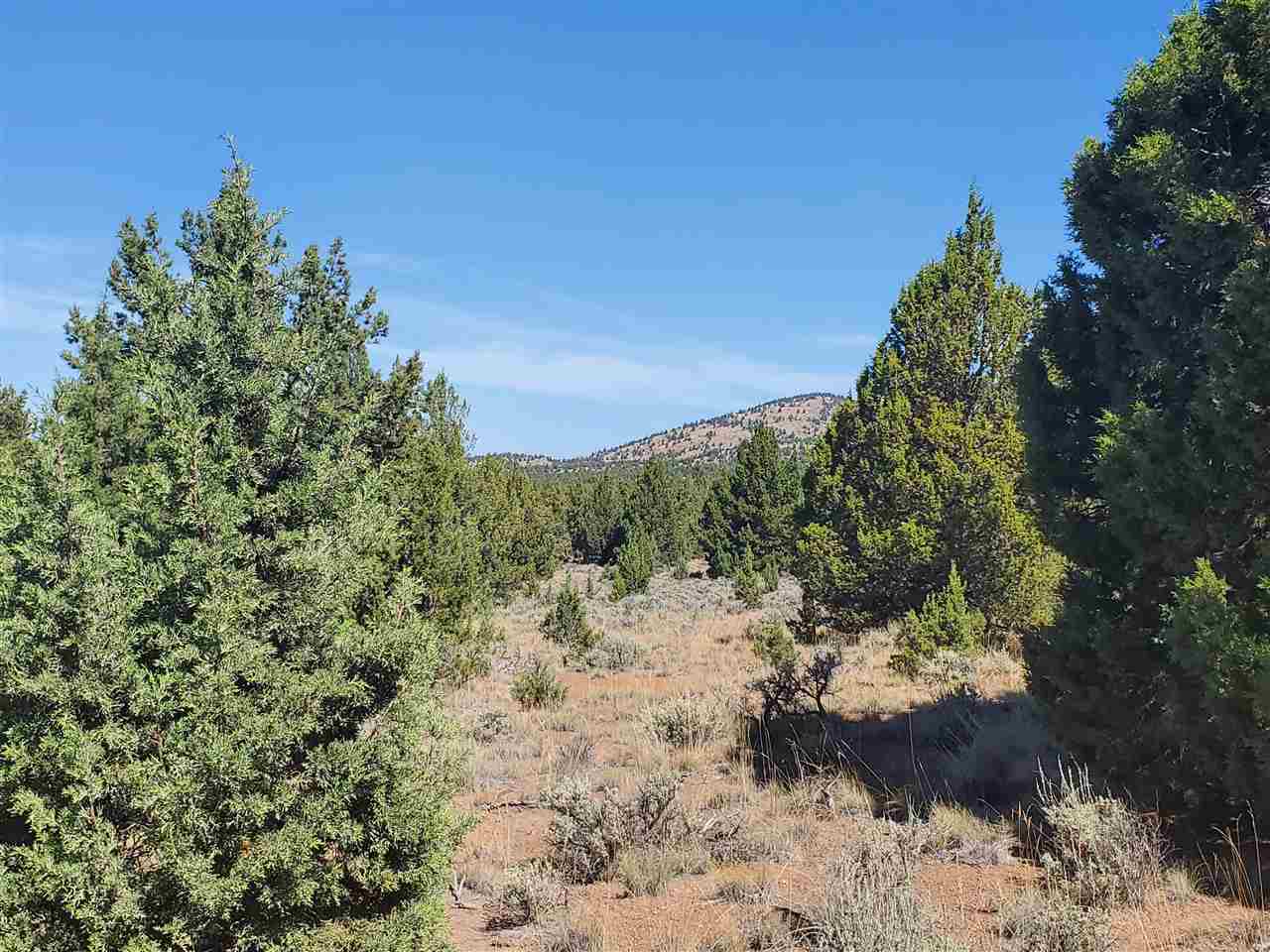 1 Unmarked Road Macdoel, CA 96058 - Photo 14 of 21 Gallery Image 14