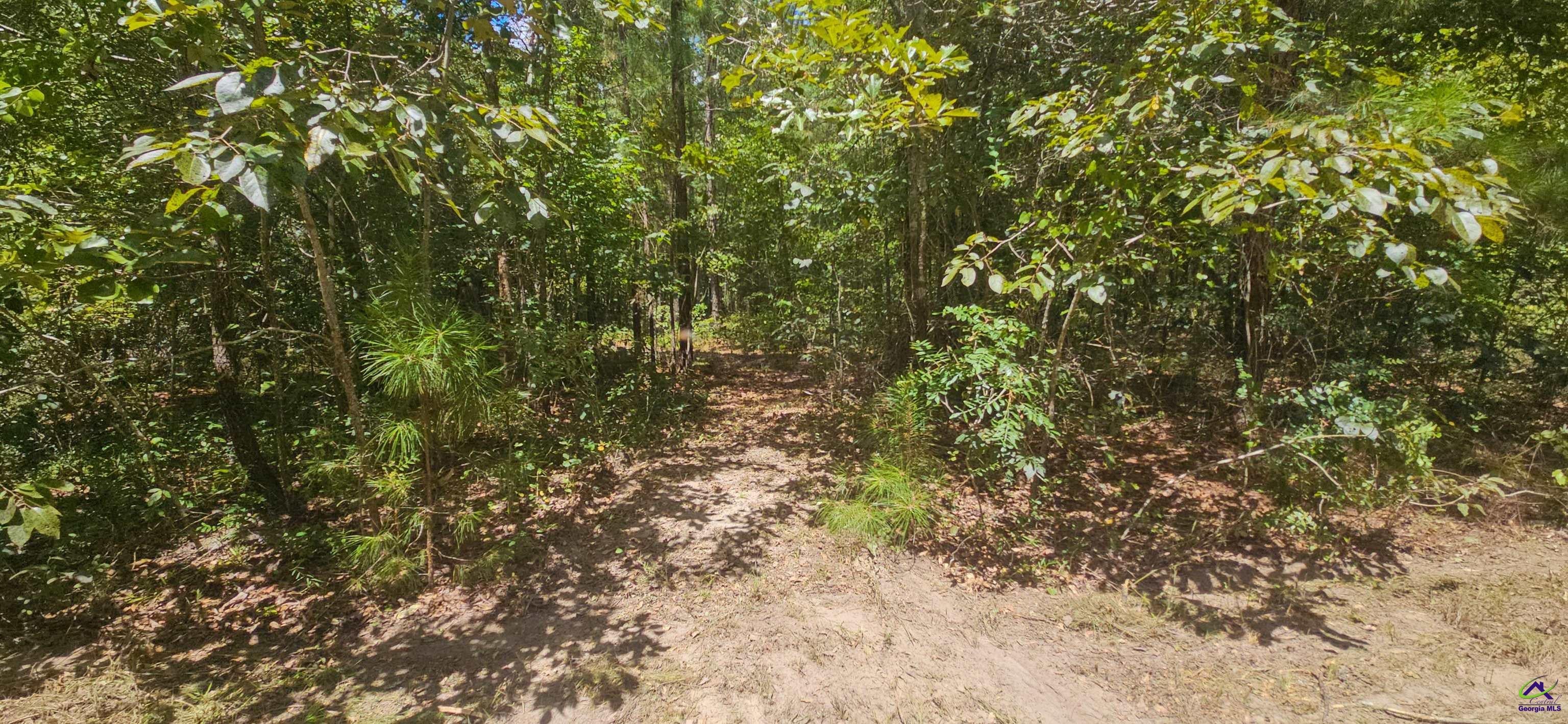 0 Priest Road Vienna, GA 31092 - Photo 25 of 26 Gallery Image 25