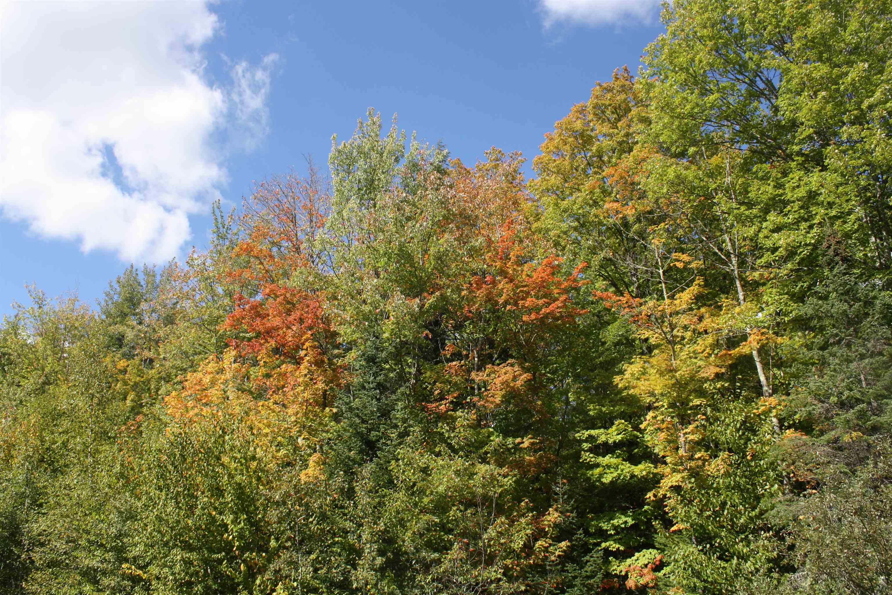 Lot 19 Many Rock Mercer, WI 54547 - Photo 1 of 1 Gallery Image 1