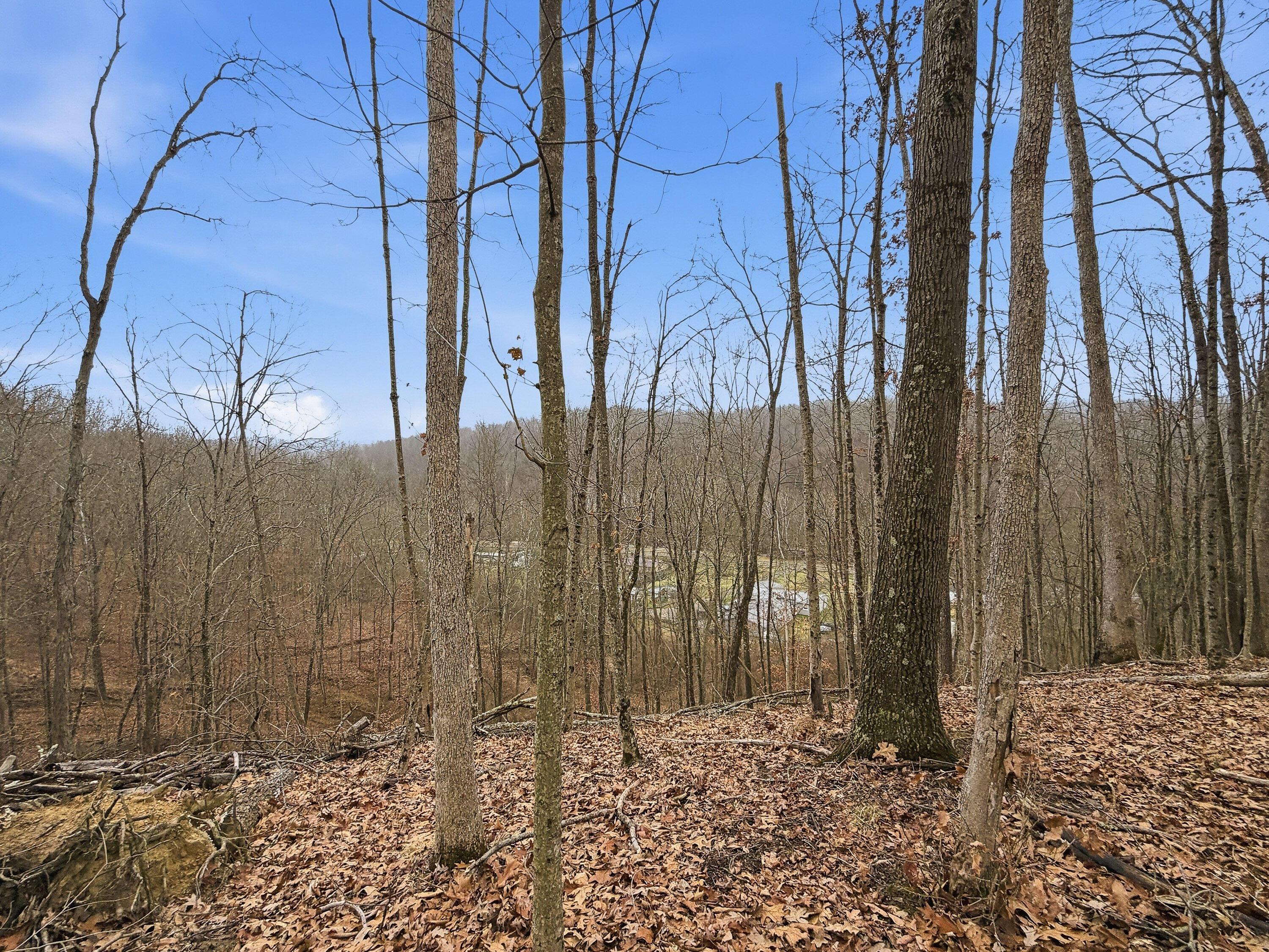 0 Rockville Road Blue Rock, OH 43720 - Photo 21 of 35 Rockville Rd-1-21