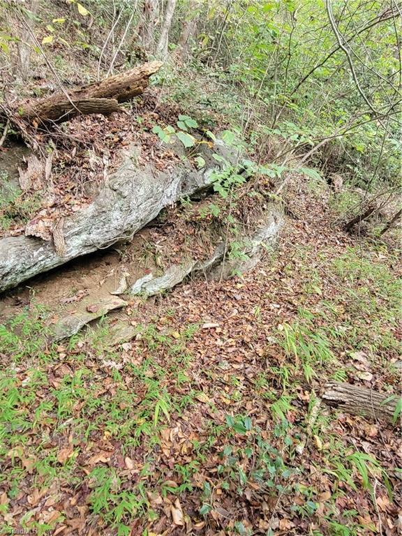 1849 Mission Extension Road Danbury, NC 27016 - Photo 14 of 22 A Rock Outcrop on the Old Path at the Dan River