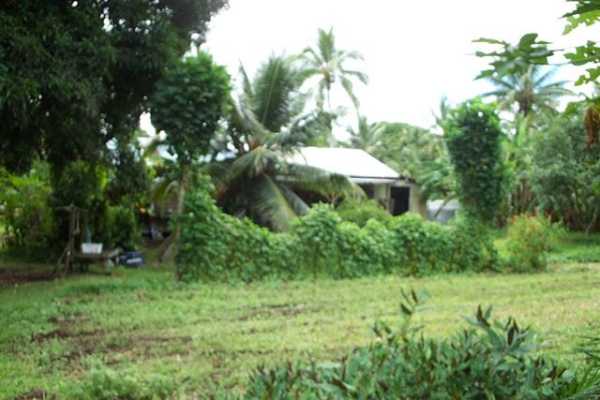 Papaya Farms Road Pahoa, HI 96778 - Photo 1 of 27 Gallery Image 1