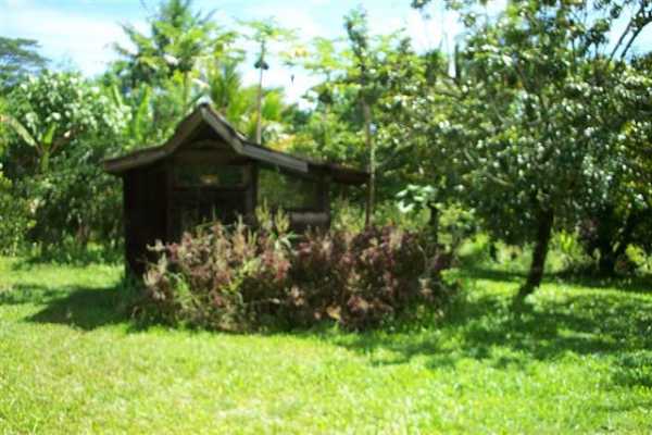 Papaya Farms Road Pahoa, HI 96778 - Photo 17 of 27 Gallery Image 17