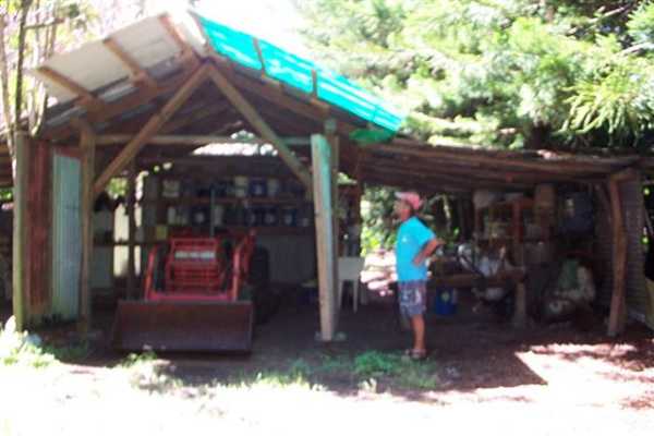 Papaya Farms Road Pahoa, HI 96778 - Photo 19 of 27 Gallery Image 19