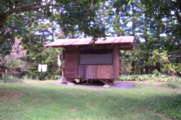 Papaya Farms Road Pahoa, HI 96778 - Photo 3 of 27 Gallery Image 3