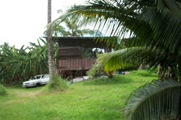 Papaya Farms Road Pahoa, HI 96778 - Photo 6 of 27 Gallery Image 6
