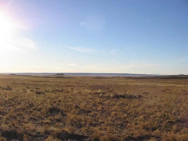 0 North Sherrie Road, Unit 489 Holbrook, AZ 86025 - Photo 5 of 6 Additional Photo