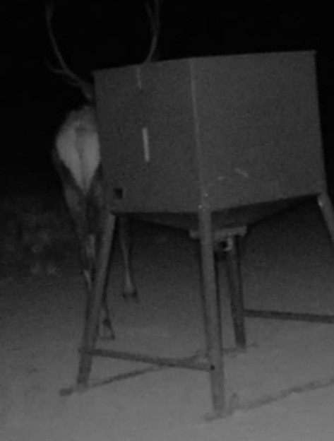 13812 High Lonesome Road Comstock, TX 78837 - Photo 35 of 40 An outdoor feeder provides sustenance for local wildlife.