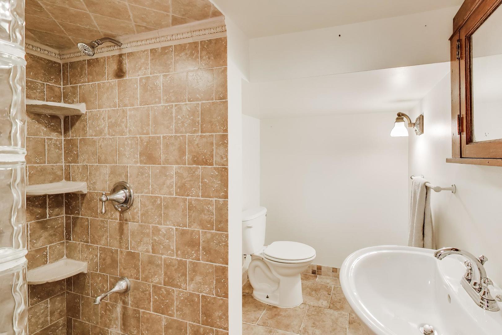 256 Blackhawk Road Riverside, IL 60546 - Photo 42 of 73