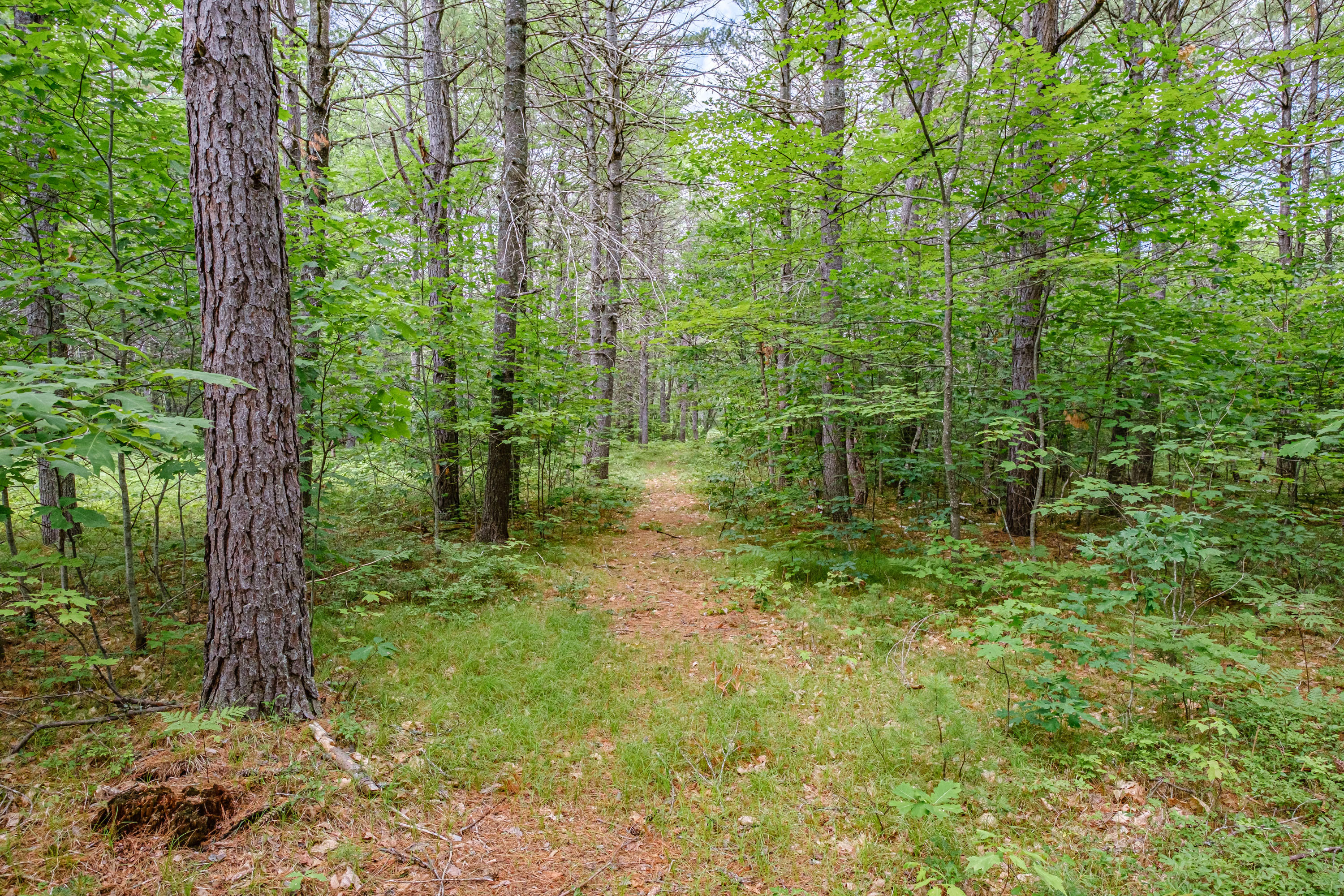 114 Riverbend Road Brownfield, ME 04010 - Photo 32 of 82 20210706mvht-63038