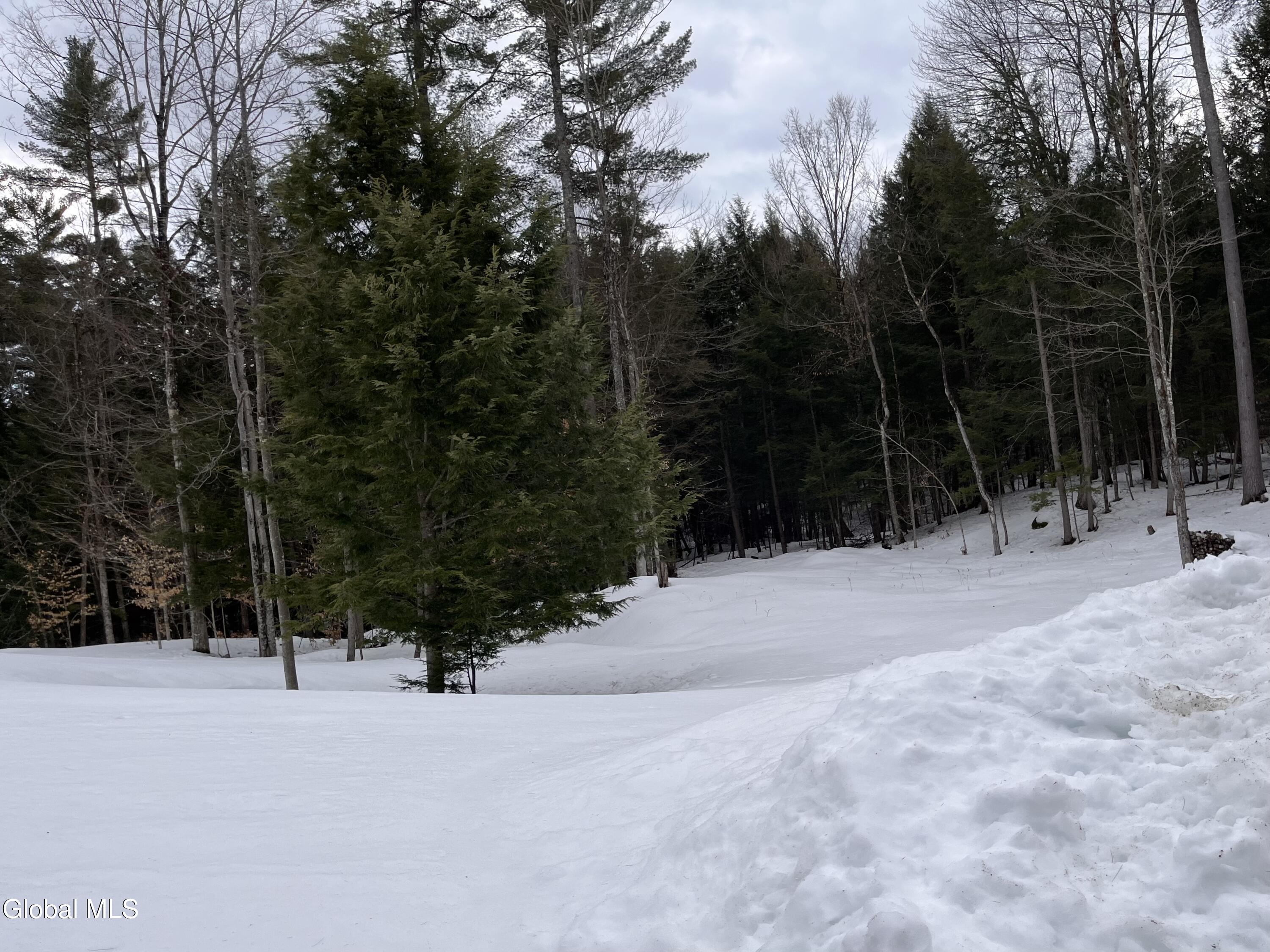 41 Moffitt Road Chester, NY 12817 - Photo 44 of 45 IMG_4433