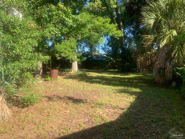 a view of outdoor space with trees all around