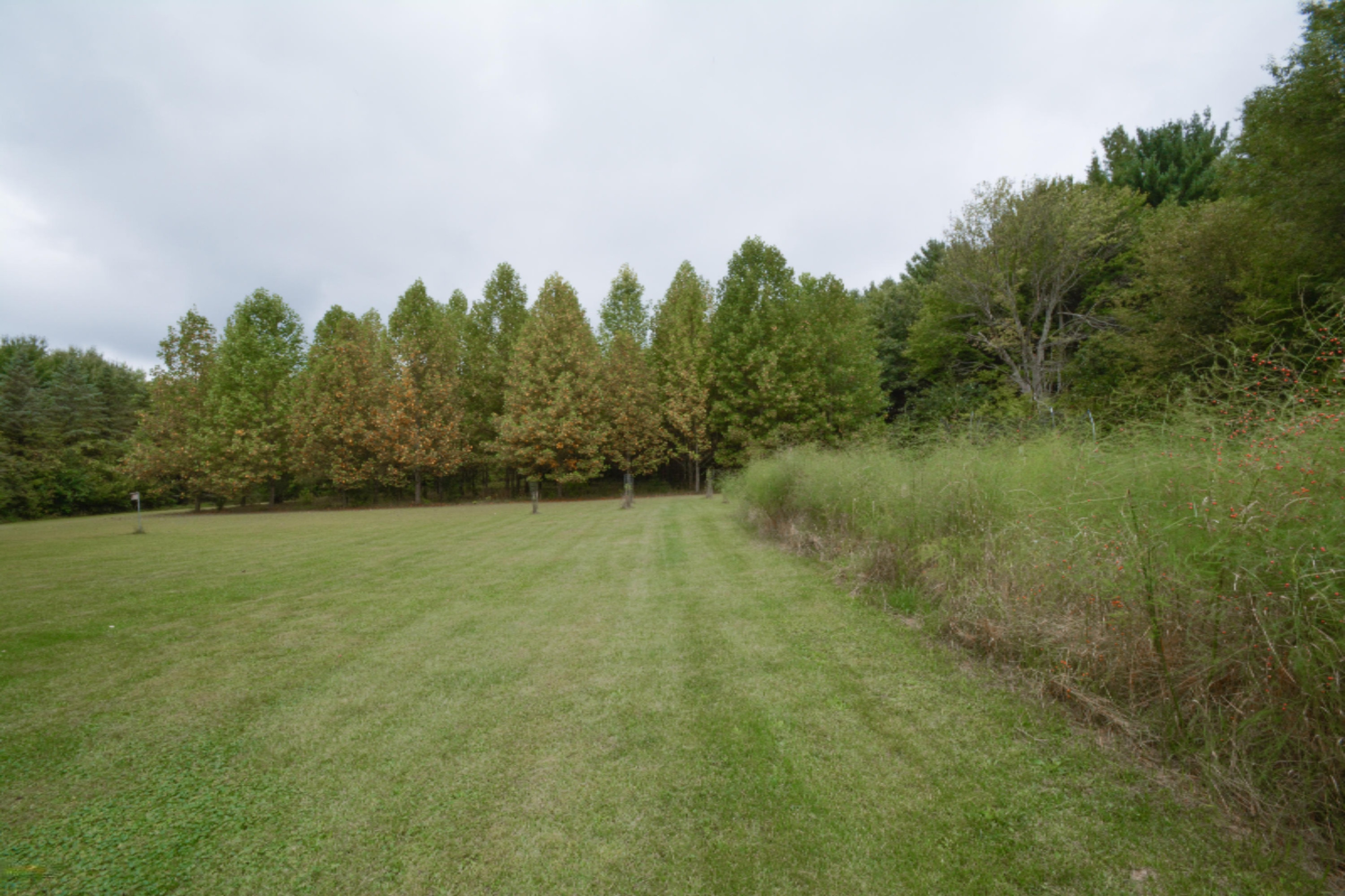 1550 Meachem Road Battle Creek, MI 49017 - Photo 26 of 49 1550 Meachem rd. BC (27)