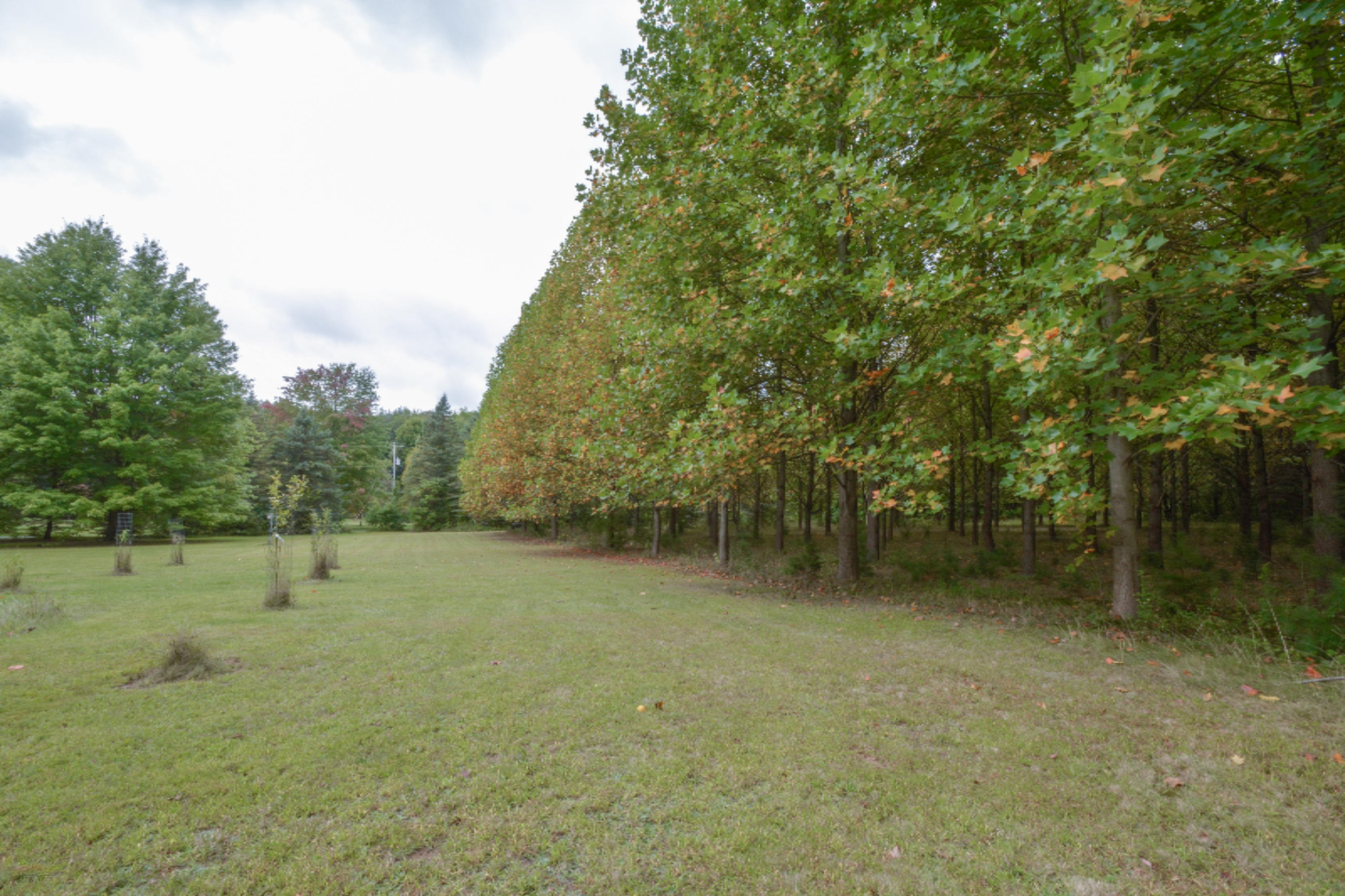 1550 Meachem Road Battle Creek, MI 49017 - Photo 29 of 49 1550 Meachem rd. BC (30)