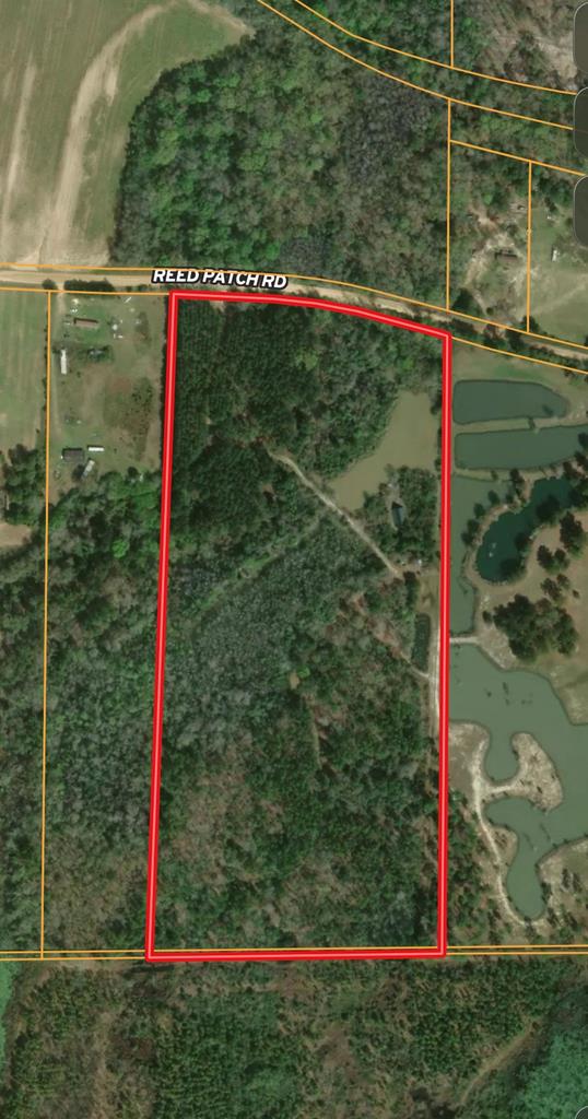 26-acres Reed Patch Road Black, AL 36314 - Photo 1 of 1