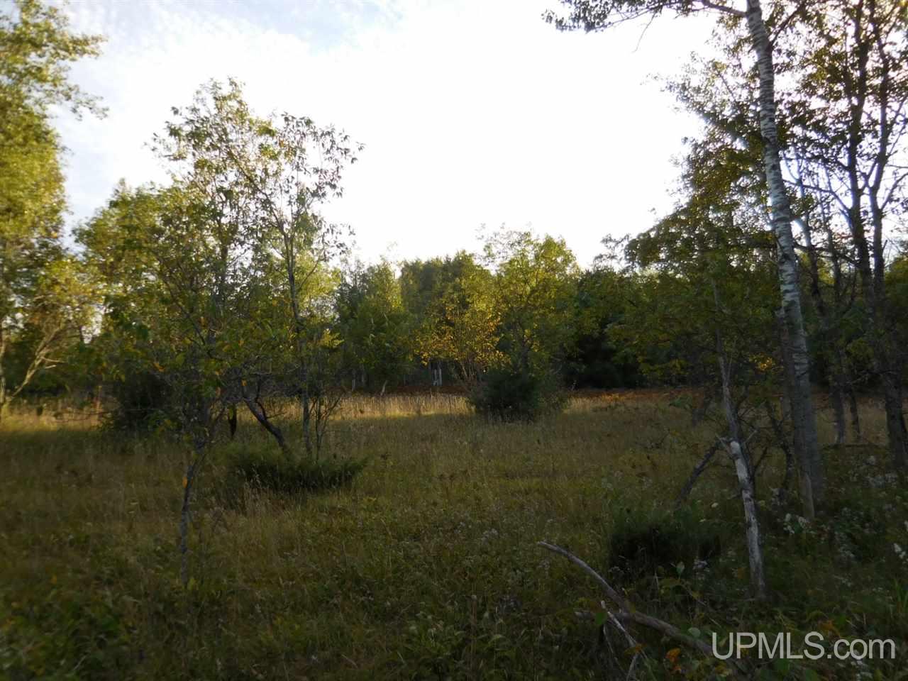 561 South Cooks School South Road Cooks, MI 49817 - Photo 11 of 31 Gallery Image 11