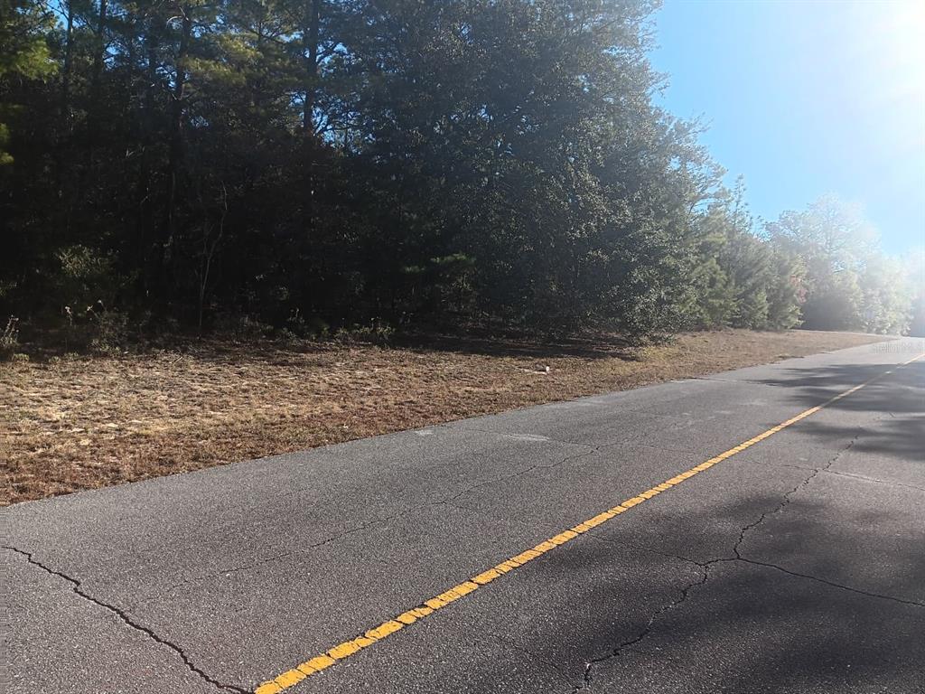 a view of a yard with large trees