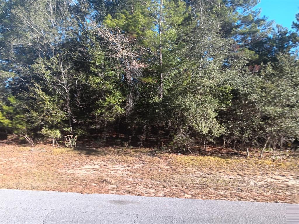 Eva Place Chipley, FL 32428 - Photo 2 of 5 a view of wooden fence and trees