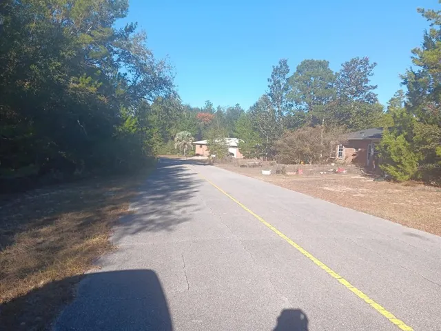 a view of a road with a trees