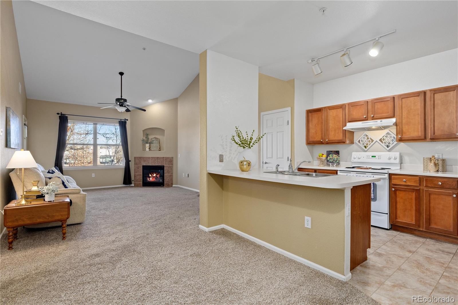10841 Twenty Mile Road, Unit 206 Parker, CO 80134 - Photo 2 of 27 a living room with furniture window and fireplace