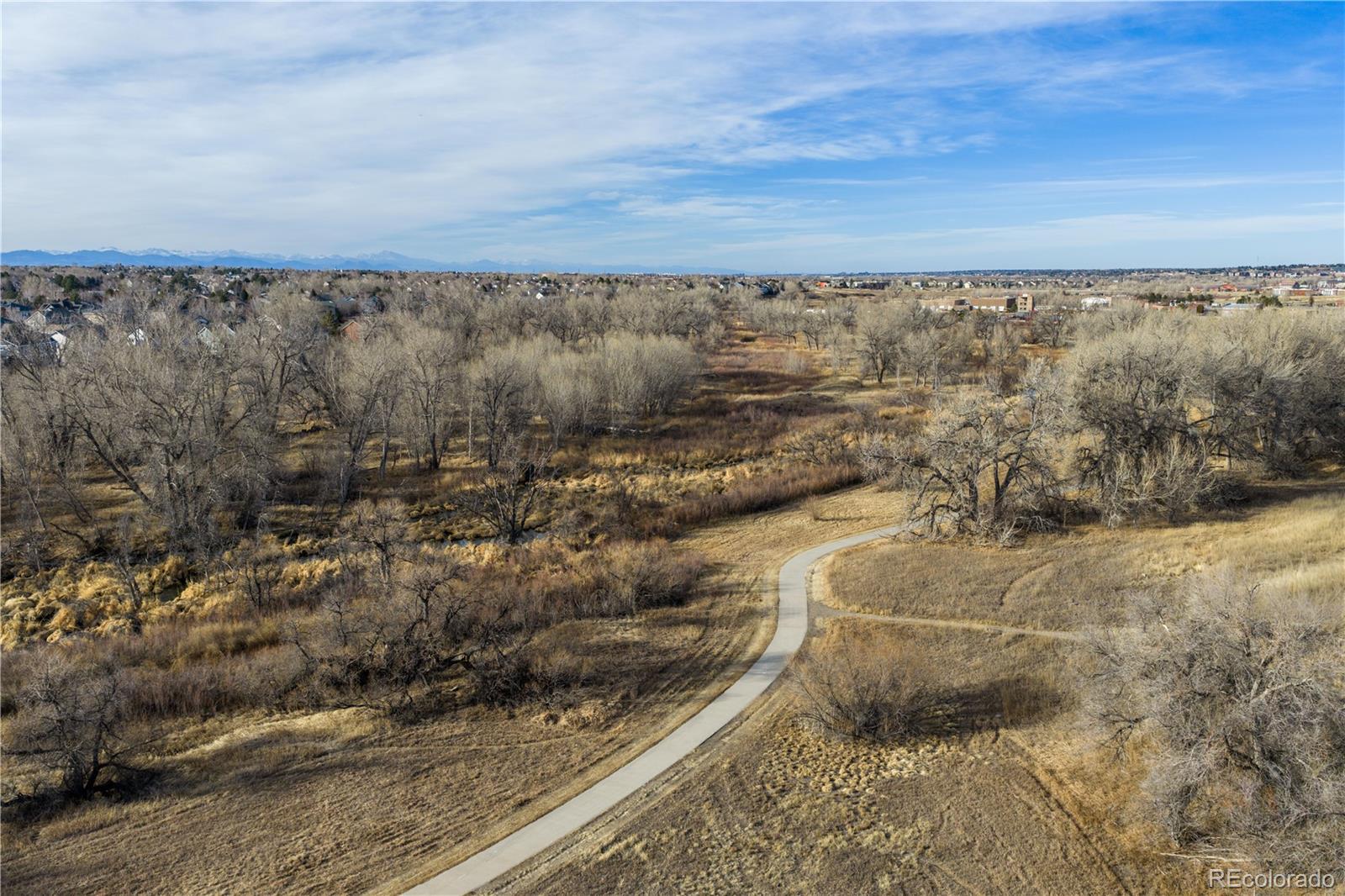 10841 Twenty Mile Road, Unit 206 Parker, CO 80134 - Photo 28 of 32