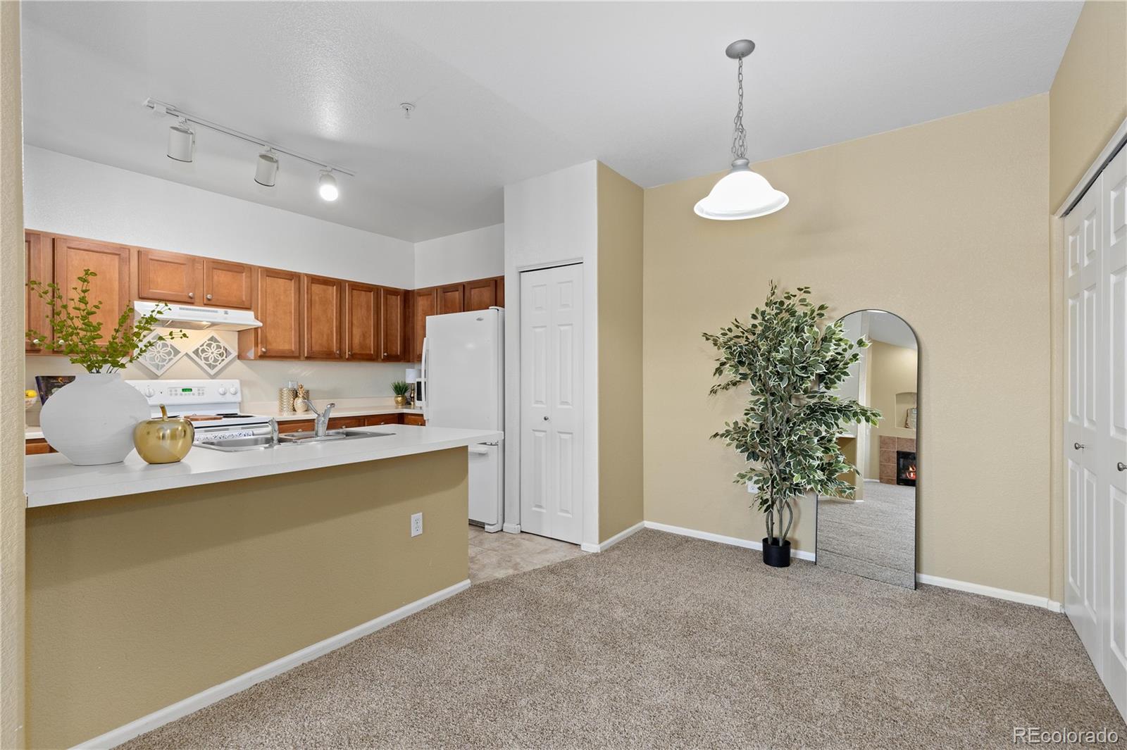 10841 Twenty Mile Road, Unit 206 Parker, CO 80134 - Photo 5 of 32