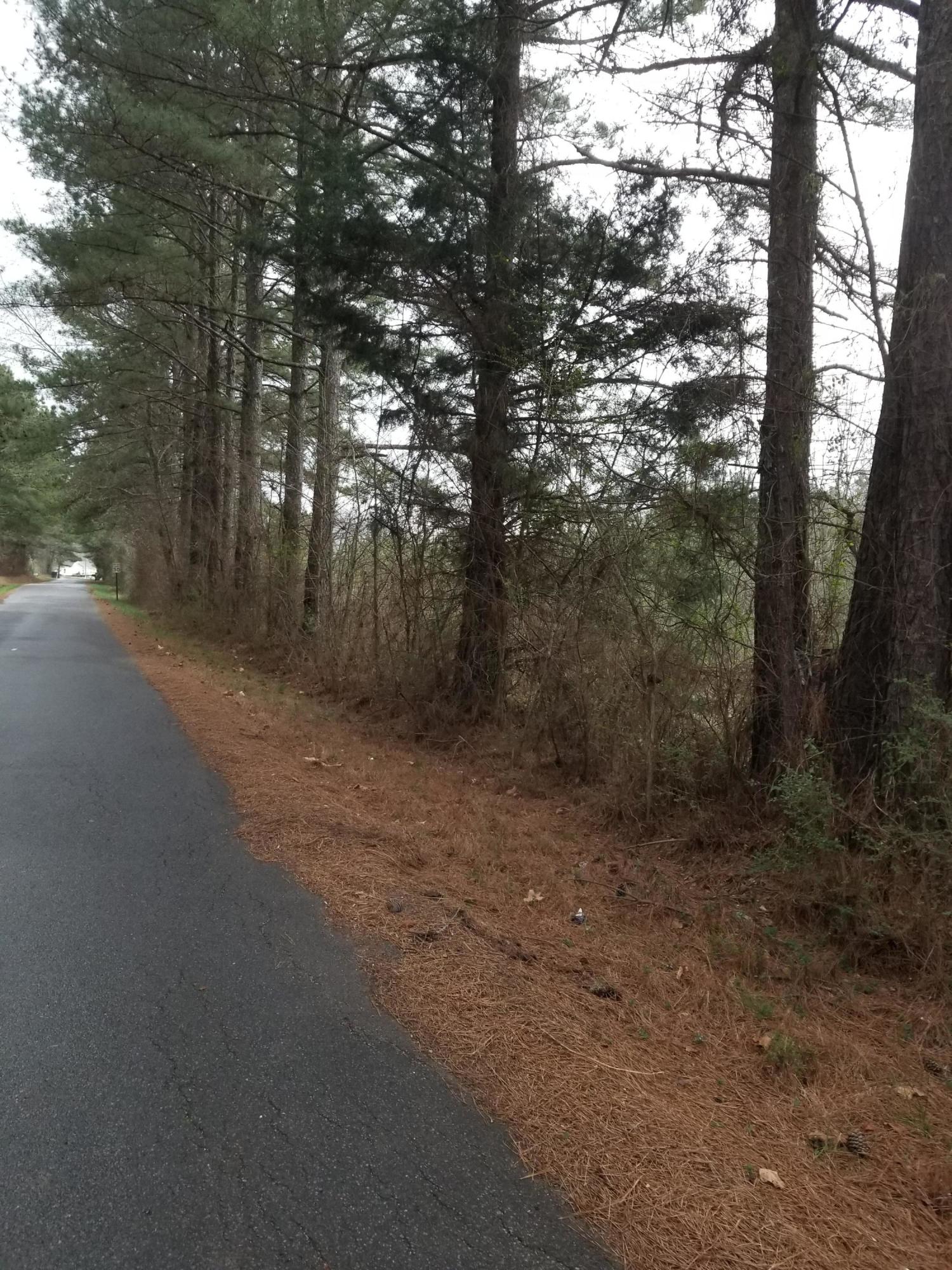 0 Peach Orchard Road Menlo, GA 30731 - Photo 3 of 3 20210315_181326