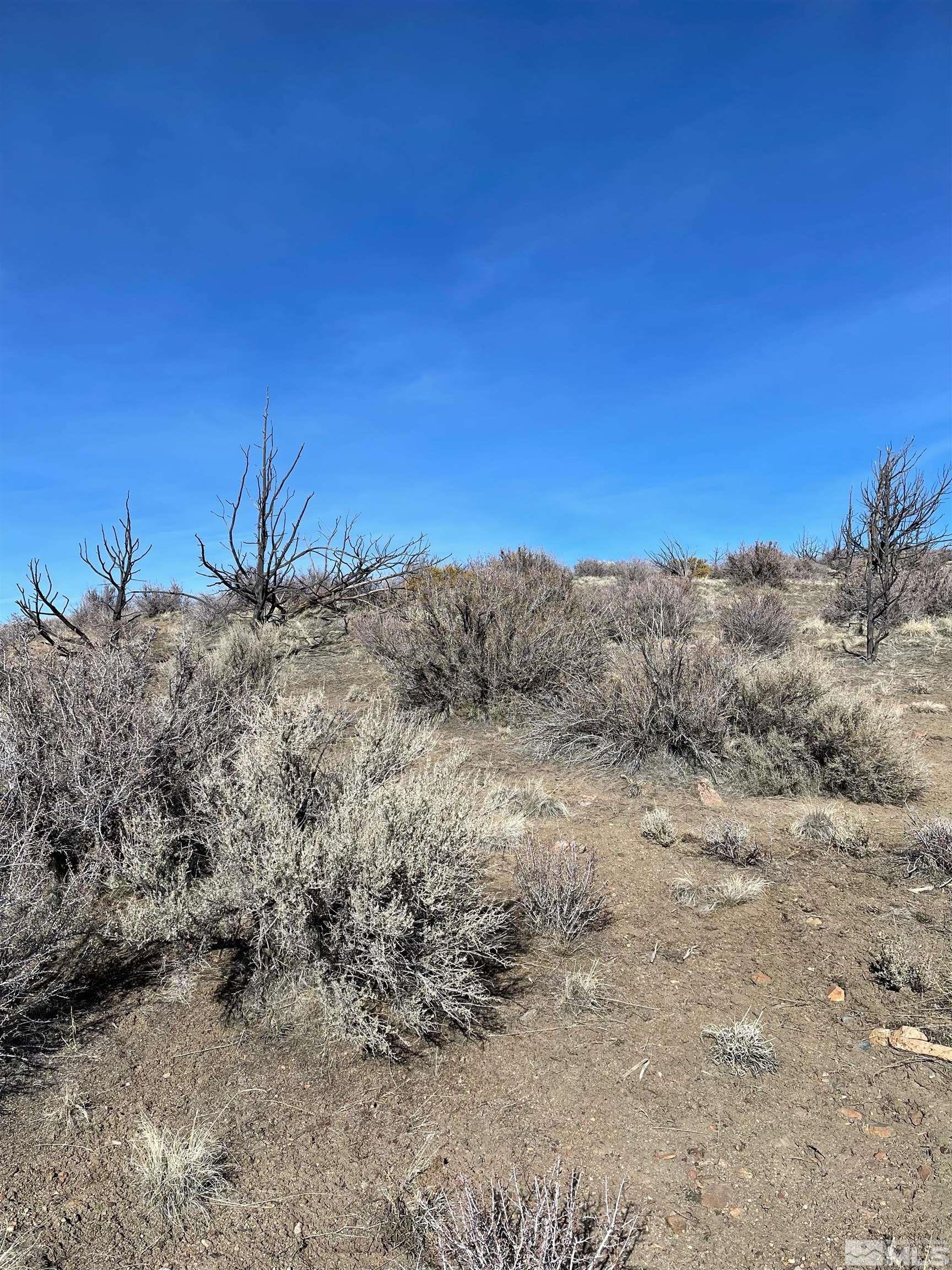 0 Mask Lane, Unit 28 Reno, NV 89508 - Photo 6 of 9 a view of a dry yard with trees