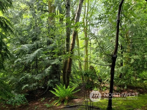 18930 Bothell Everett Highway, Unit C101 Bothell, WA 98012 - Photo 25 of 36 a view of a yard with plants and trees