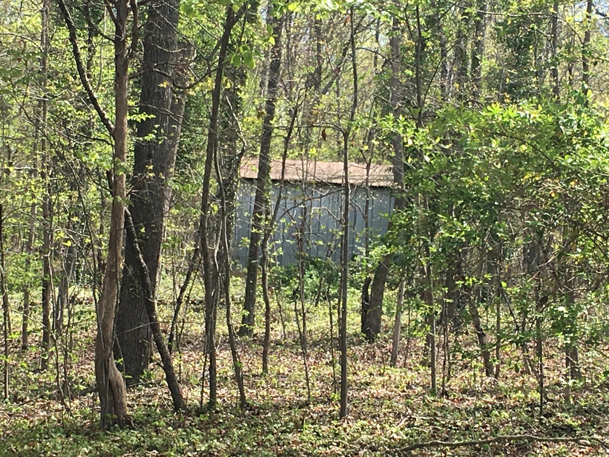 2309 River Road Kingston, TN 37763 - Photo 17 of 20 Gallery Image 17