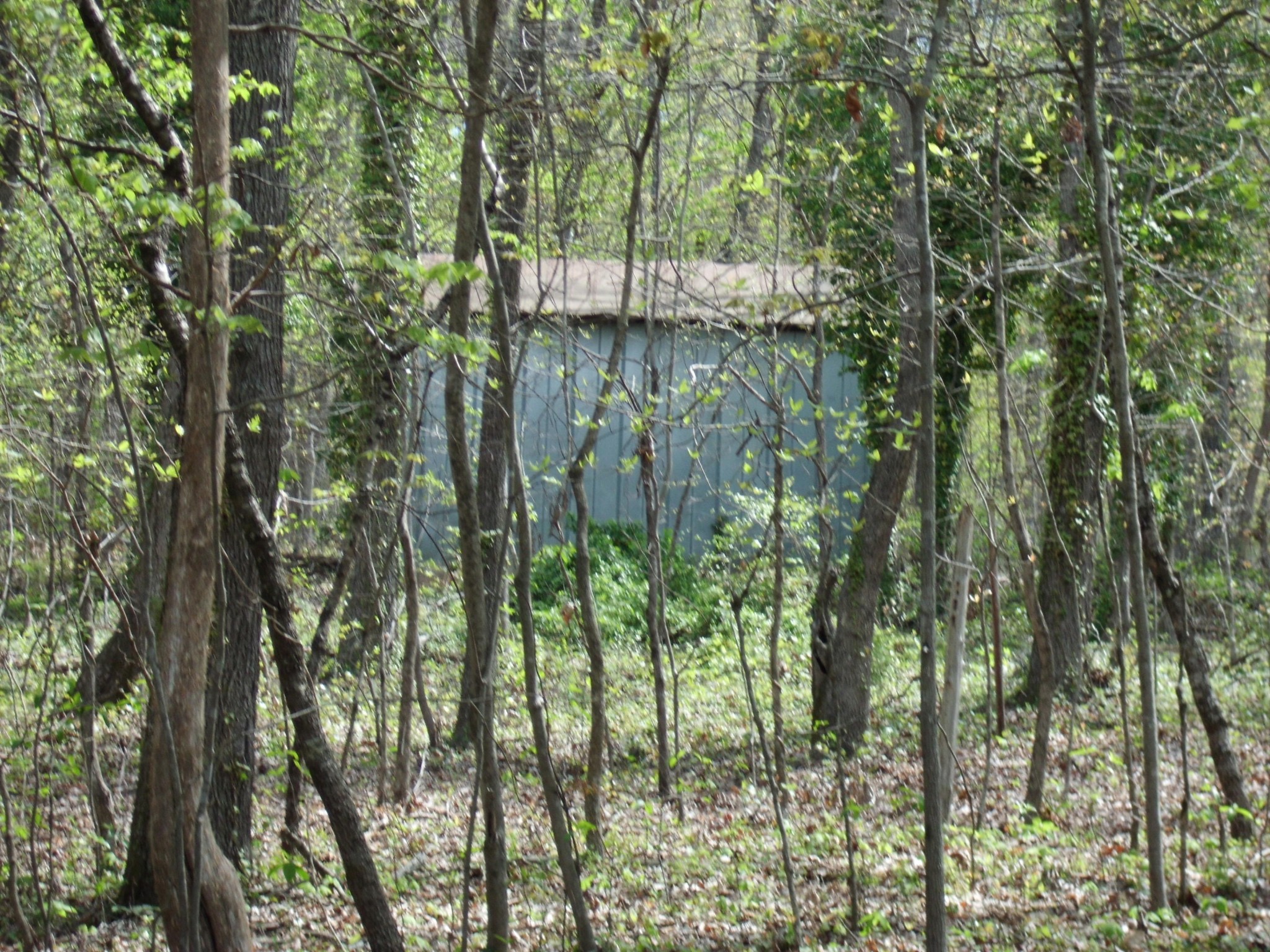 2309 River Road Kingston, TN 37763 - Photo 7 of 20 Gallery Image 7