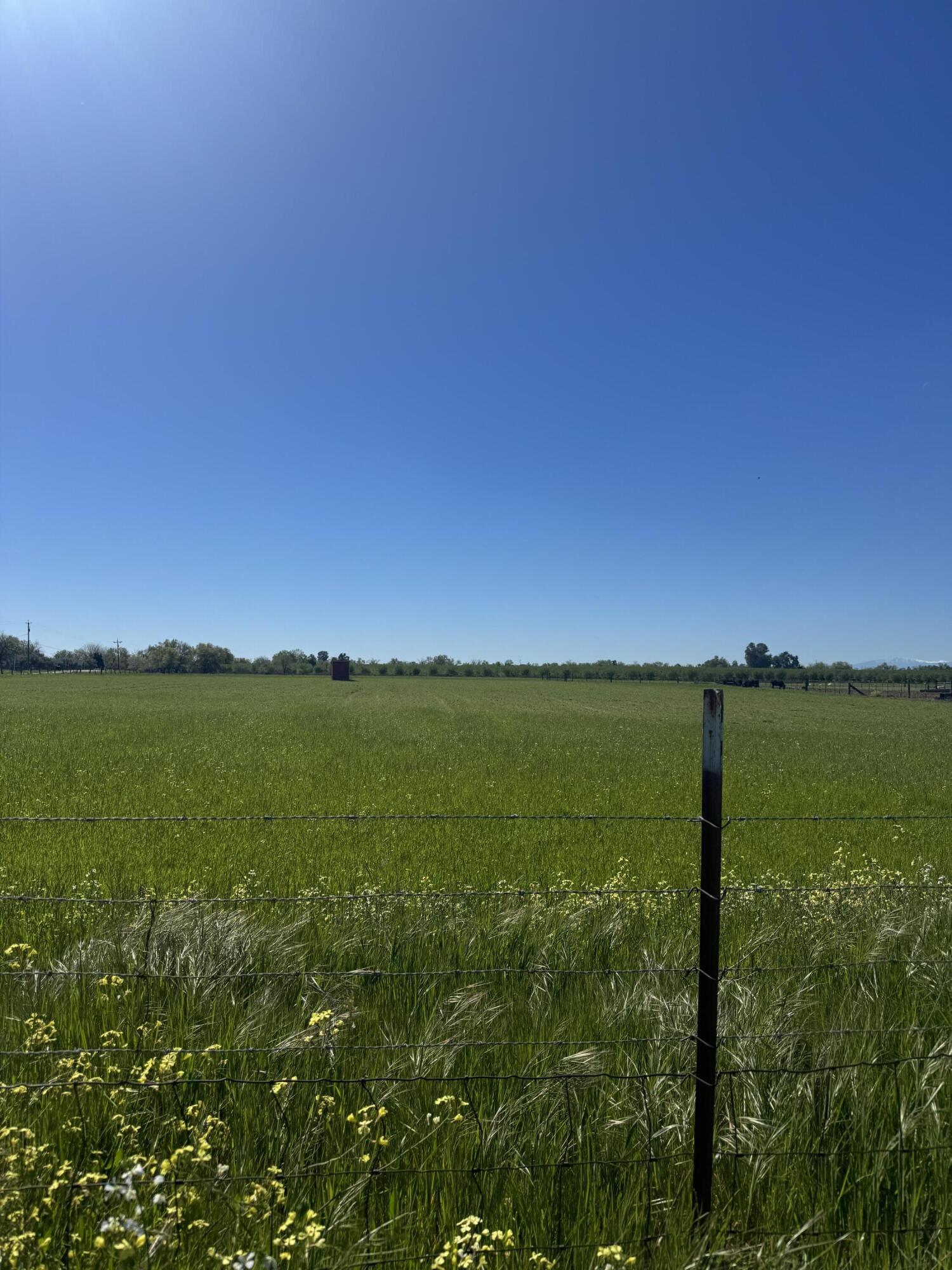 0 McClure Avenue Gerber, CA 96035 - Photo 3 of 7 a view of lake and green space