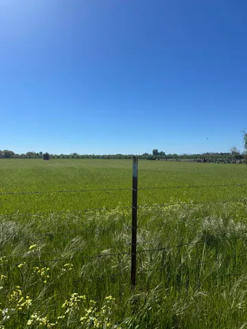 a view of lake with green space