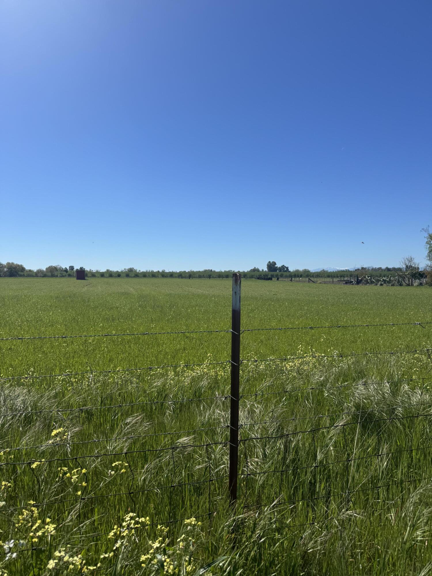 0 McClure Avenue Gerber, CA 96035 - Photo 4 of 7 a view of lake with green space